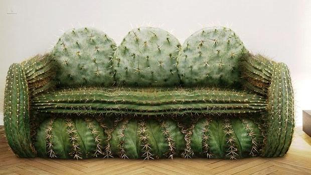 Canapé cactus