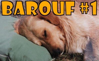 Barouf #1 – EN VIDEO