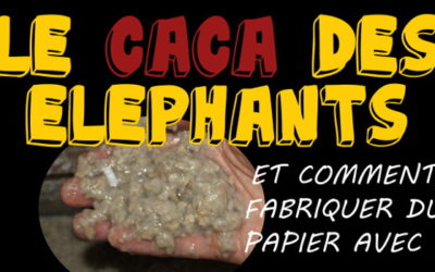 Le caca des éléphants