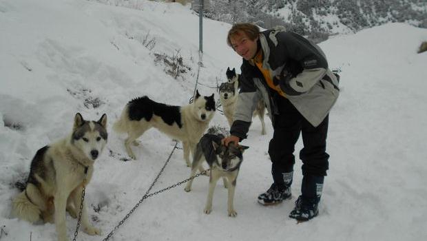 Nabolo avec des chiens de traineau dans les alpes huskies attachés à une chaîne