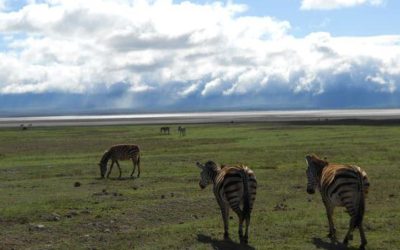 L’aventure africaine XII – Dans les tréfonds du cratère