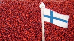 berries finland flag in the middle