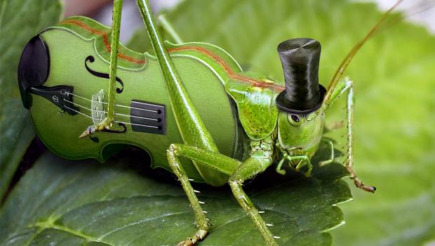 Sauterelle musicienne avec chapeau haut de forme et corps contrebasse