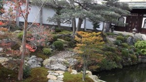 jardin zen à kyoto au japon bonzaï