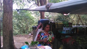 mihintale sri lanka un ecureuil géant se penche pour voler une mangue