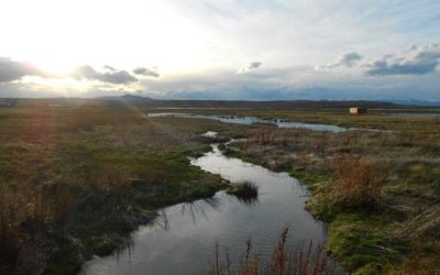 PATAGONIE: El Calafate & El Perito Moreno