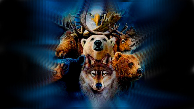 spirit animal with eagle and bear and wolf power animal totem