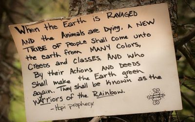 BACK TO NEVERLAND – Rainbow Gathering n°2