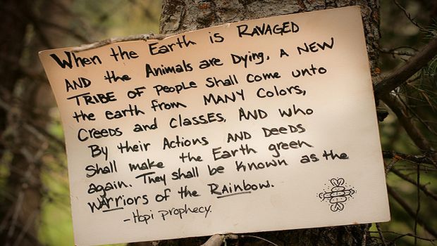 BACK TO NEVERLAND – Rainbow Gathering n°2