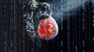 Image du film Matrix un embryon humain développé par les machines