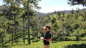 ouvrir une noix de coco plantations de thé nuwara eliya boire le thé