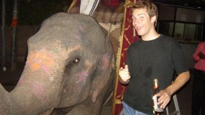 éléphant domestique